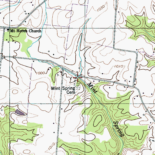 Topographic Map of Mint Spring, TN