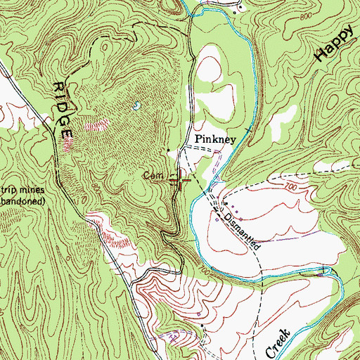 Topographic Map of Pinkney Cemetery, TN