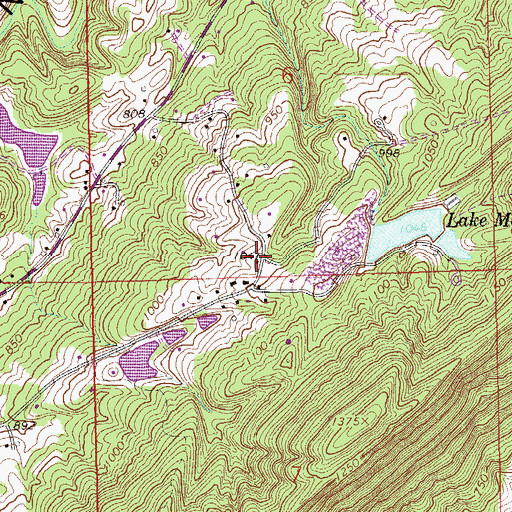 Topographic Map of Gospel Temple, AL