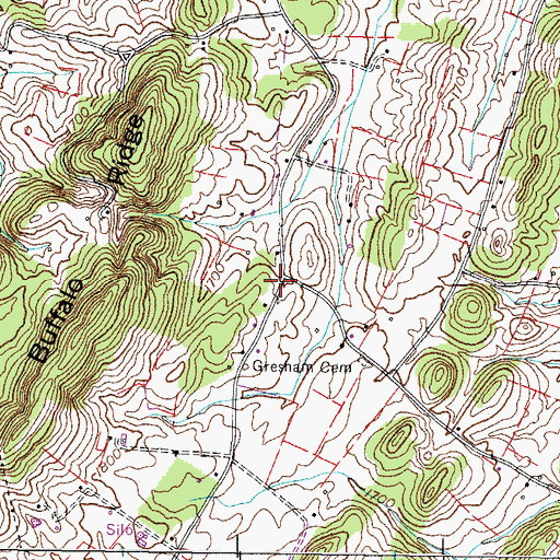 Topographic Map of Buffalo Ridge (historical), TN