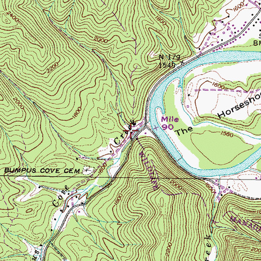 Topographic Map of Ike White Hollow, TN