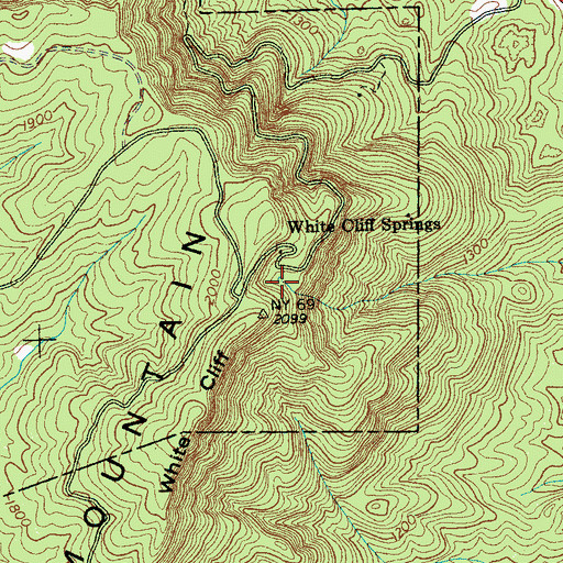 Topographic Map of White Cliff Springs, TN