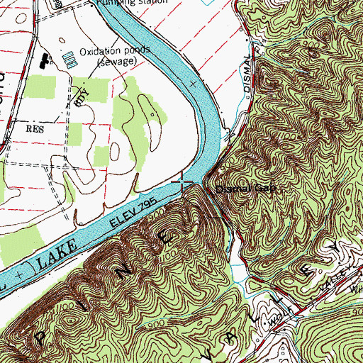 Topographic Map of Youngs Shoals, TN