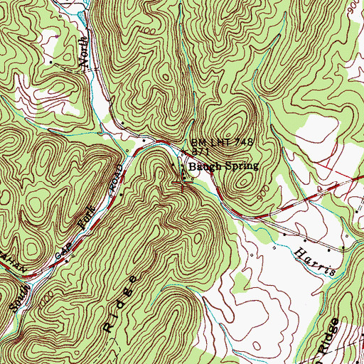 Topographic Map of Baugh Spring, TN