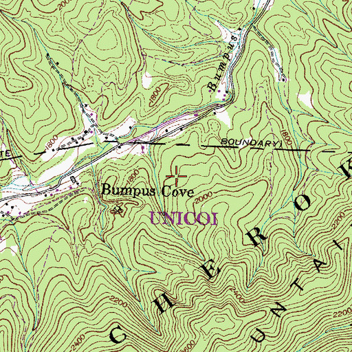 Topographic Map of Lower Red Cut Mine, TN