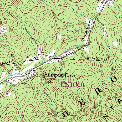 Topographic Map of Redcut Hollow, TN