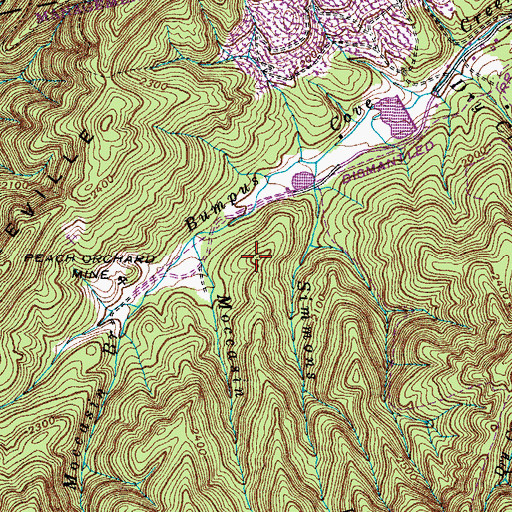 Topographic Map of Rich Hill, TN