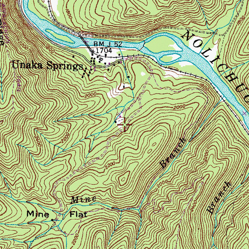 Topographic Map of Unaka Springs Prospect, TN