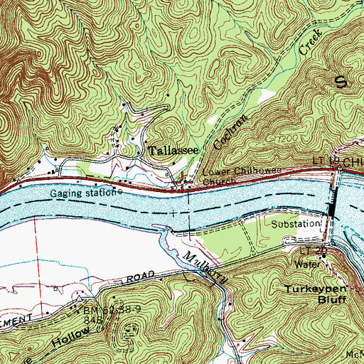 Topographic Map of Lower Chilhowee Cemetery, TN