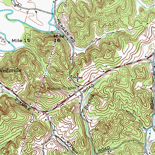 Topographic Map of Nelson Chapel Cemetery, TN