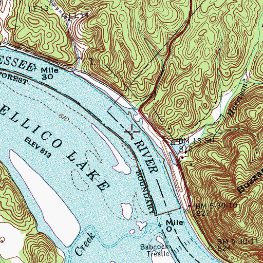 Topographic Map of Fish Trap Shoals, TN