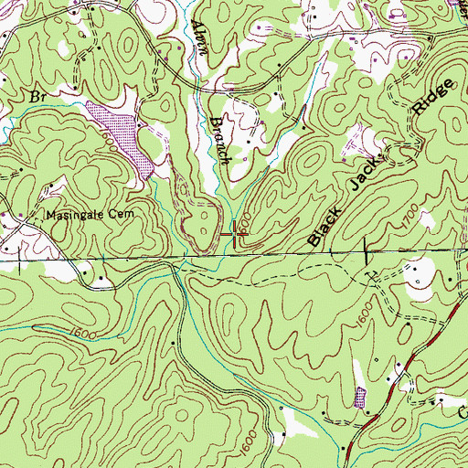 Topographic Map of Alvin Branch Workings, TN