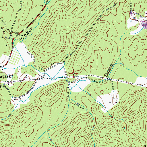 Topographic Map of Calico Workings, TN