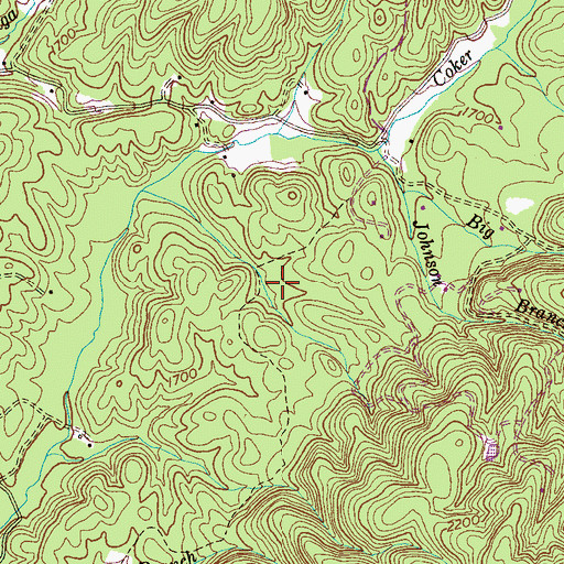 Topographic Map of Johnson Branch Workings, TN