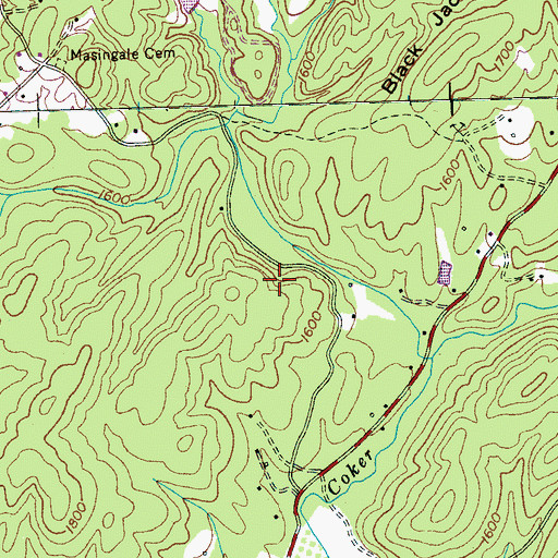 Topographic Map of Paris Mine, TN