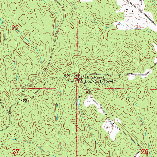 Topographic Map of Blackjack Lookout Tower, AL