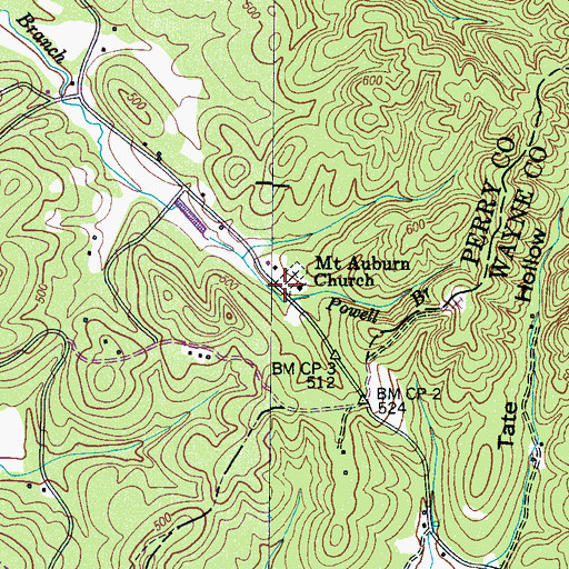 Topographic Map of Mount Auburn Cemetery, TN