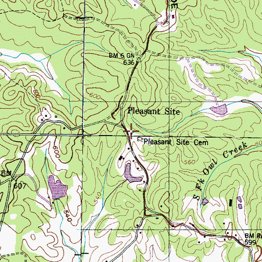 Topographic Map of Pleasant Site Baptist Church, TN