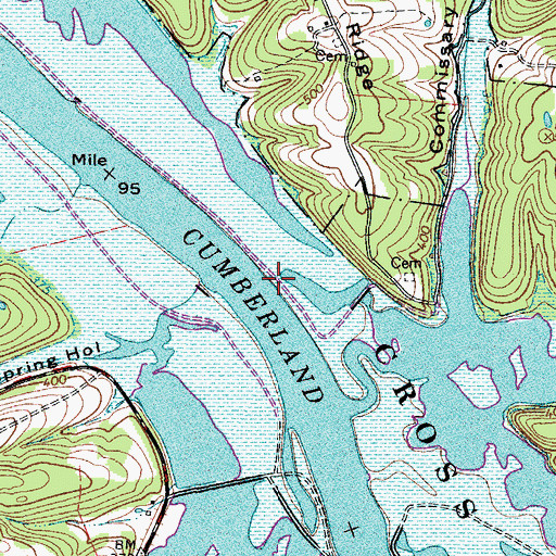Topographic Map of Bear Springs Landing, TN