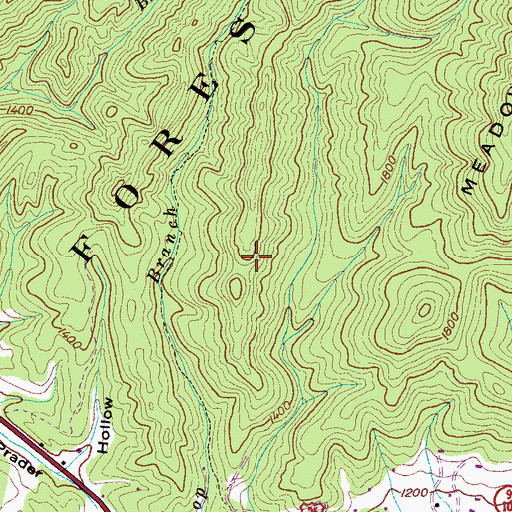 Topographic Map of Stone Mine, TN