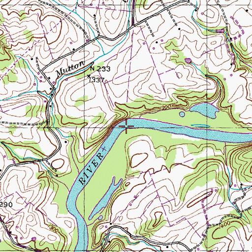Topographic Map of Dinsmores Shoals, TN