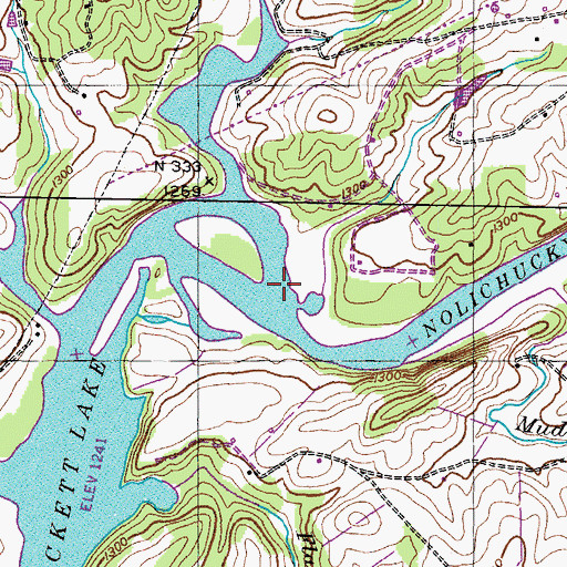 Topographic Map of Allens Shoals, TN