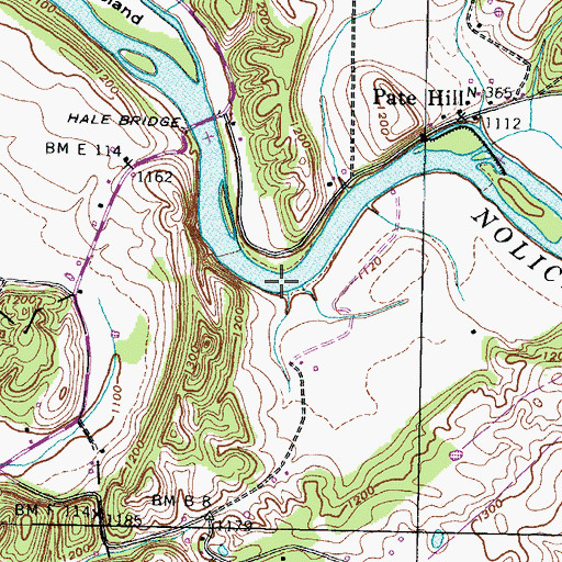 Topographic Map of Nelsons Shoals, TN