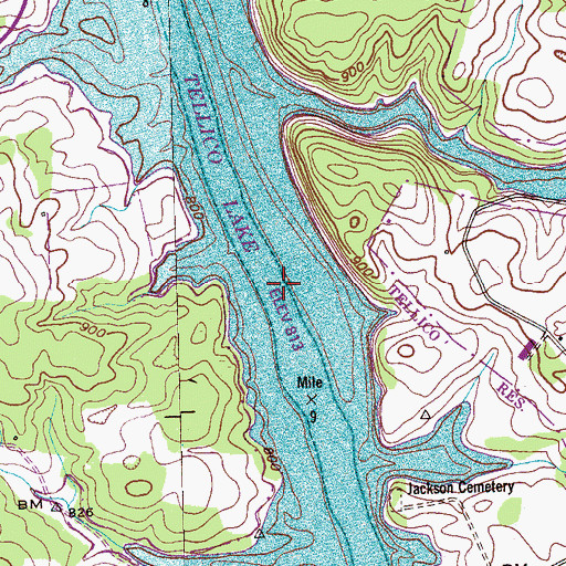 Topographic Map of Carpenters Island (historical), TN