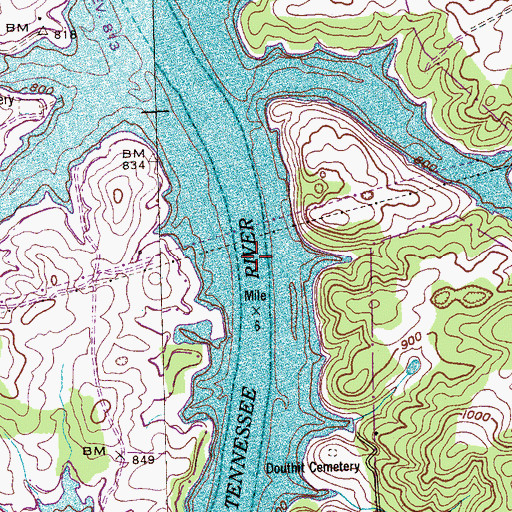 Topographic Map of Davis Shoals, TN