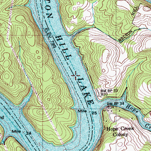Topographic Map of Hops Shoals, TN