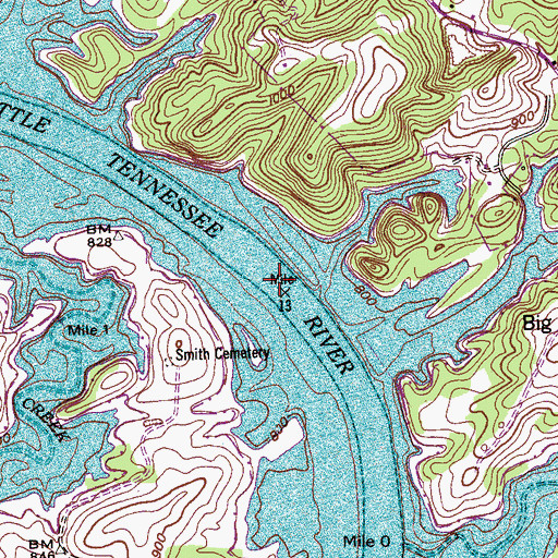 Topographic Map of Lower Morganton Shoals, TN