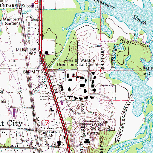 Topographic Map of Lurleen B Wallace Developmental Center, AL