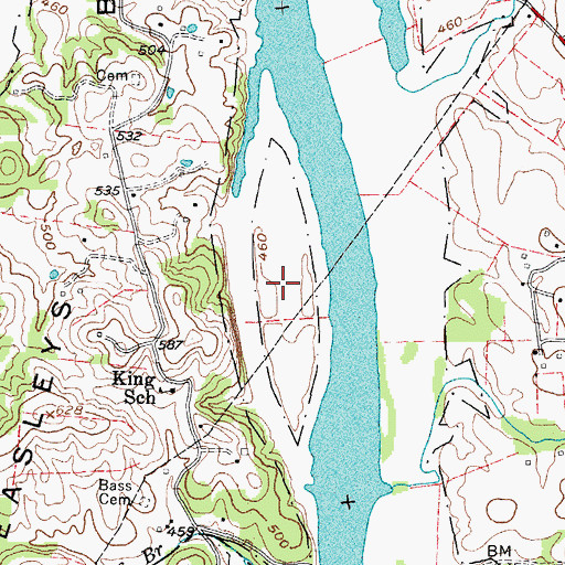Topographic Map of Mills Island, TN