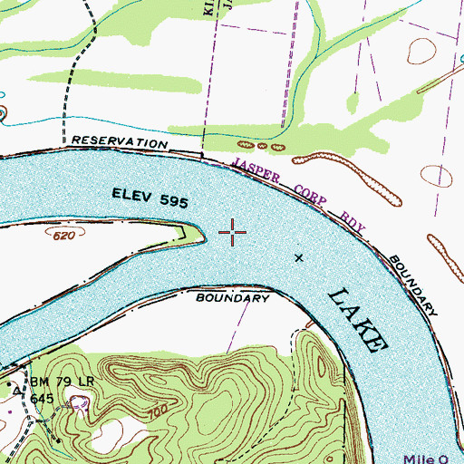 Topographic Map of Lowrys Ferry (historical), TN