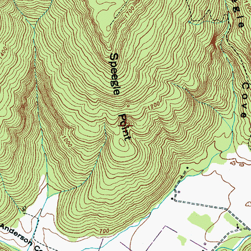 Topographic Map of Plummeting Springs, TN