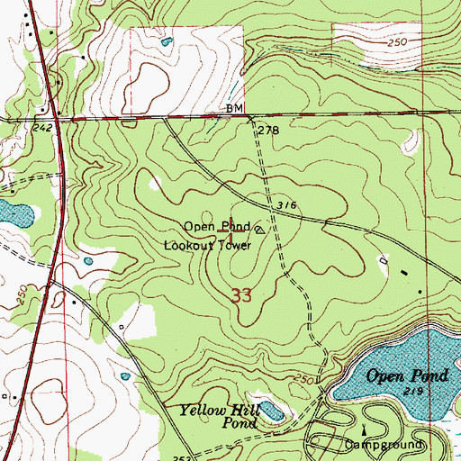 Topographic Map of Open Pond Lookout Tower, AL