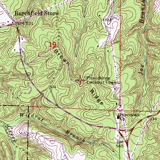 Topographic Map of Providence Lookout Tower, AL