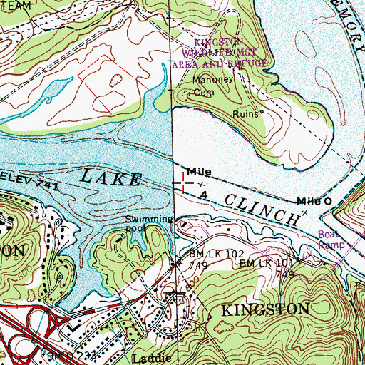 Topographic Map of Martins Shoals, TN
