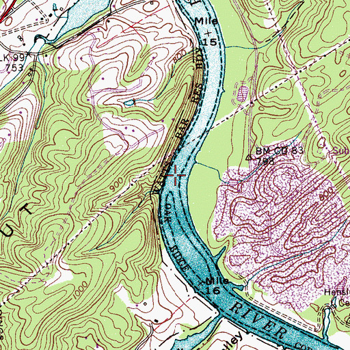 Topographic Map of Pickles Shoals, TN