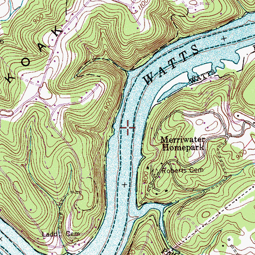 Topographic Map of Walkers Shoals, TN