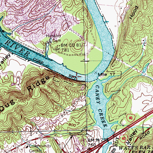 Topographic Map of Wallers Shoals, TN