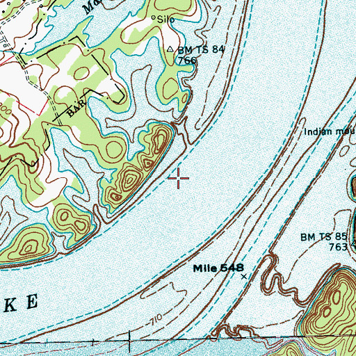Topographic Map of Wintons Ripples, TN