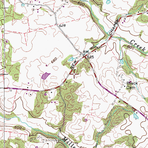 Topographic Map of Browing Cemetery, TN