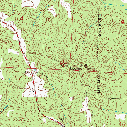 Topographic Map of Town Hill Lookout Tower, AL