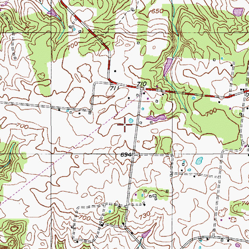 Topographic Map of McMurry Cemetery, TN