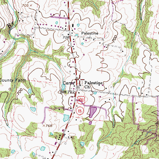 Topographic Map of Palestine Cemetery, TN