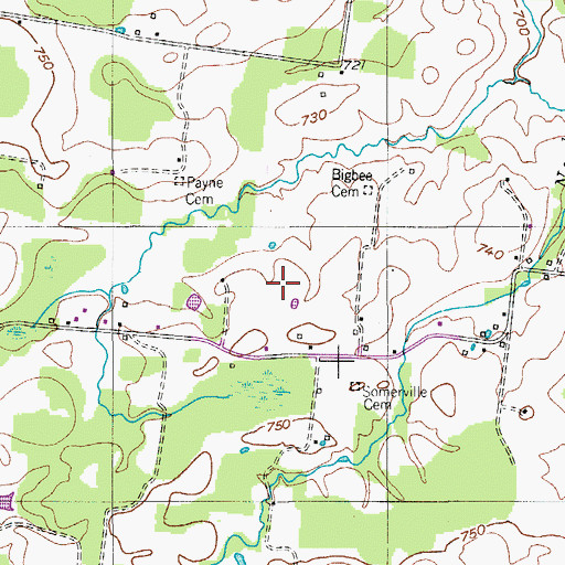 Topographic Map of Payne Cemetery, TN