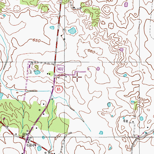 Topographic Map of Woodard Cemetery, TN