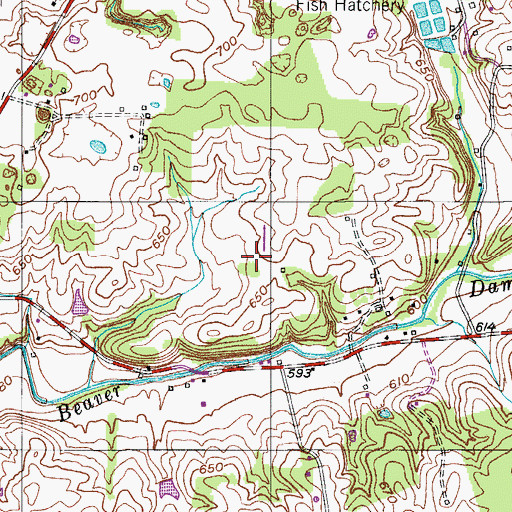 Topographic Map of Woodard Cemetery, TN