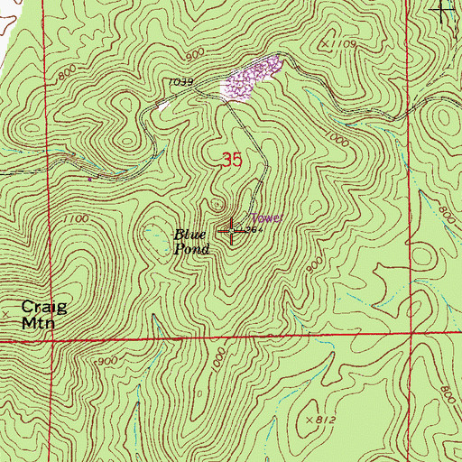 Topographic Map of Craig Mountain Lookout Tower, AL